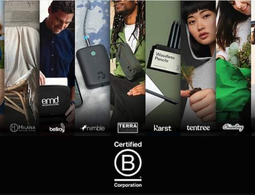 B Corp Brand Partners